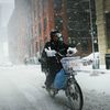 Things To Remember If You Order Food Delivery In Today's Storm